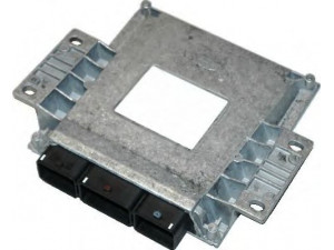 HOFFER 7540056 valdymo blokas, variklio valdymas 
 Variklis -> Variklio elektra
1929ZC, 193818, 9645243180, 1929ZC