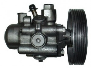 SPIDAN 54370 hidraulinis siurblys, vairo sistema 
 Vairavimas -> Vairo pavara/siurblys
4007.Y6