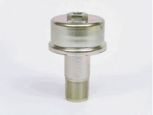 HALDEX 340034201 spyruoklinis stabdžių cilindras