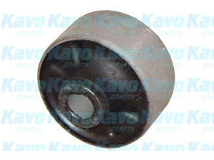 KAVO PARTS SCR-3036 valdymo svirties/išilginių svirčių įvorė 
 Ašies montavimas/vairavimo mechanizmas/ratai -> Valdymo svirtis/pasukamosios svirties sujungimas -> Montavimas/sutvirtinimas
545841C200