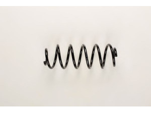 BILSTEIN 36-300044 spyruoklė 
 Pakaba -> Spyruoklės
50701363, 50702606