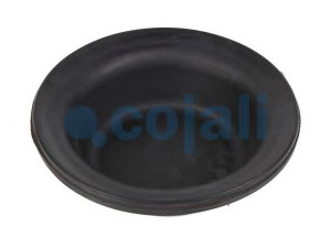 COJALI 6001102 membrana, spyruoklinis cilindras