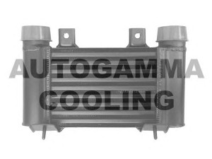 AUTOGAMMA 105823 tarpinis suslėgto oro aušintuvas, kompresorius
VW8513550, WL8513550