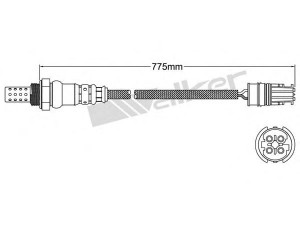 WALKER PRODUCTS 250-241053 lambda jutiklis 
 Variklis -> Variklio elektra
11787573320