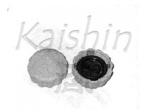 KAISHIN 96312510 radiatorius, variklio aušinimas 
 Aušinimo sistema -> Radiatorius/alyvos aušintuvas -> Radiatorius/dalys
96312510, 96420303, 96536649