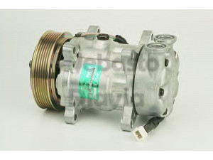WEBASTO 82D0155242CA kompresorius, oro kondicionierius 
 Oro kondicionavimas -> Kompresorius/dalys
6453CN, 6453FS, 9641111780