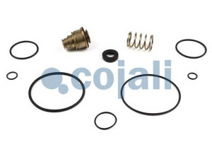 COJALI 6014417 remonto komplektas, greitinimo vožtuvas
392187