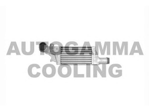 AUTOGAMMA 103623 tarpinis suslėgto oro aušintuvas, kompresorius 
 Variklis -> Oro tiekimas -> Įkrovos agregatas (turbo/superįkrova) -> Tarpinis suslėgto oro aušintuvas
1300410, 24466787, 93177425