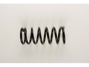 BILSTEIN 36-129843 spyruoklė 
 Pakaba -> Spyruoklės
85 GB 5560 TA