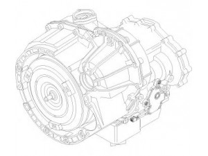 ZF 1050 004 015 automatinė pavarų dėžė