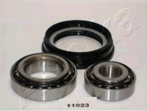 ASHIKA 44-11023 rato guolio komplektas 
 Ašies montavimas/vairavimo mechanizmas/ratai -> Rato stebulė/montavimas -> Rato guolis
40232-01G10
