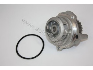 AUTOMEGA 30121001106BE vandens siurblys 
 Aušinimo sistema -> Vandens siurblys/tarpiklis -> Vandens siurblys
06B121011E, 06B121011E, 06B121011E