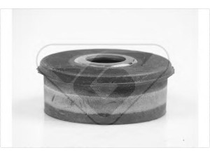 HUTCHINSON 18009A stebulės laikiklio įvorė
1633170812