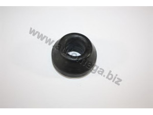 AUTOMEGA 304070179281 valdymo svirties/išilginių svirčių įvorė
281407179, 281407179, 281407179