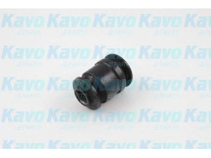 KAVO PARTS SCR-6546 valdymo svirties/išilginių svirčių įvorė 
 Ašies montavimas/vairavimo mechanizmas/ratai -> Valdymo svirtis/pasukamosios svirties sujungimas -> Montavimas/sutvirtinimas
5453501B00