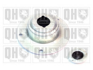 QUINTON HAZELL EMR1785 pakabos statramsčio atraminis guolis 
 Ašies montavimas/vairavimo mechanizmas/ratai -> Montavimas, pakabos statramstis
60 507 954, 60507954, 82 430 666