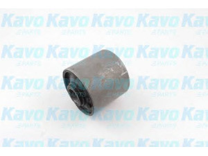 KAVO PARTS SCR-5541 valdymo svirties/išilginių svirčių įvorė 
 Ašies montavimas/vairavimo mechanizmas/ratai -> Valdymo svirtis/pasukamosios svirties sujungimas -> Montavimas/sutvirtinimas
MB002990