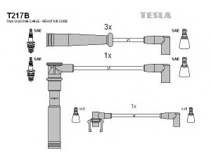 TESLA T217B uždegimo laido komplektas 
 Kibirkšties / kaitinamasis uždegimas -> Uždegimo laidai/jungtys
7700853260