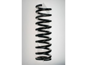 SPIDAN 49697 spyruoklė 
 Pakaba -> Spyruoklės
201 321 3704