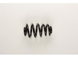 BILSTEIN 36-148264 spyruoklė 
 Pakaba -> Spyruoklės
8E0 511 115 DC, 8E0 511 115 DN