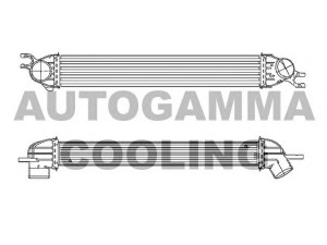 AUTOGAMMA 105252 tarpinis suslėgto oro aušintuvas, kompresorius 
 Variklis -> Oro tiekimas -> Įkrovos agregatas (turbo/superįkrova) -> Tarpinis suslėgto oro aušintuvas
17512751277