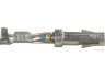 HERTH+BUSS ELPARTS 50253276088 apspaudimo jungtis
1 703 216, 1 737 675, 0065456026