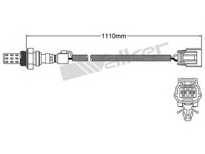 WALKER PRODUCTS 250-22004 lambda jutiklis 
 Variklis -> Variklio elektra
G609 18 861