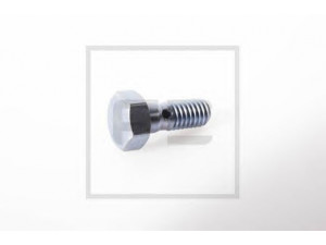 PE Automotive 039.040-00A įdubiamasis varžtas
51.98150.0066, 51.98150.0080, 51.98150.0167