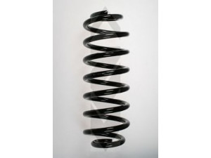 SPIDAN 55102 spyruoklė 
 Pakaba -> Spyruoklės
33 53 1 093 942