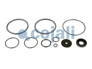 COJALI 6014406 remonto komplektas, greitinimo vožtuvas