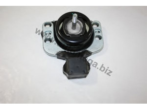 AUTOMEGA 30820000220596 variklio montavimas
8200022596, 8200022596