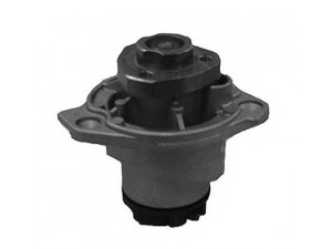 MAGNETI MARELLI 352316171204 vandens siurblys 
 Aušinimo sistema -> Vandens siurblys/tarpiklis -> Vandens siurblys
066121011D, 71121005, 066121011C
