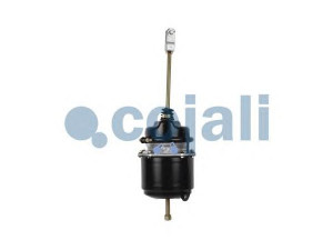 COJALI 2251406 spyruoklinis stabdžių cilindras
81 50410 6197, 81 50410 6214, 81 50410 9197
