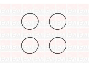 FAI AutoParts IM1009 tarpiklių rinkinys, įsiurbimo kolektorius 
 Variklis -> Cilindrų galvutė/dalys -> Įsiurbimo kolektoriaus tarpiklis/sandarinimo žiedas
06A133398F