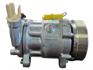 AUTOCLIMA 40405351 kompresorius, oro kondicionierius 
 Oro kondicionavimas -> Kompresorius/dalys
9656572380, 9660555580, 9663315680