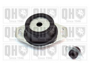 QUINTON HAZELL EM4145 montavimas, automatinė transmisija; montavimas, neautomatinė transmisija 
 Transmisija -> Automatinė pavarų dėžė -> Transmisijos montavimas
9604338880, 1827 10, 1844 36, 1844 68