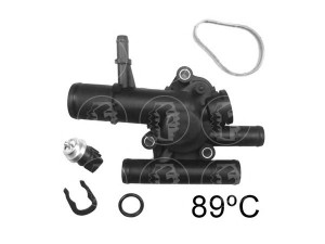 FARE SA 3819 termostatas, aušinimo skystis 
 Aušinimo sistema -> Termostatas/tarpiklis -> Thermostat
11060-00QAF, 11060AW300, 1106100QAD