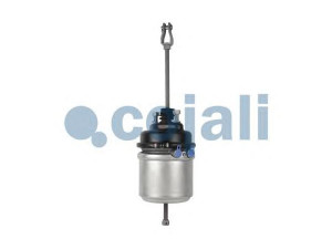 COJALI 2251420 spyruoklinis stabdžių cilindras
1519135, 81 50410 6280, 0702.152.00