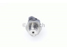 BOSCH 0 281 006 244 jutiklis, degalų slėgis
S227621090