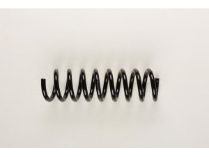 BILSTEIN 36-129621 spyruoklė 
 Pakaba -> Spyruoklės
210 321 30 04