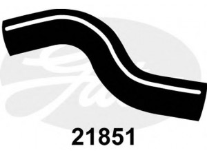 GATES 21851 radiatoriaus žarna 
 Aušinimo sistema -> Žarnelės/vamzdeliai/sujungimai -> Radiatoriaus žarnos
45167AA020, 45167FA020