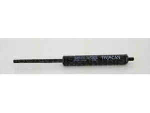 TRISCAN 8710 615159350 dujinė spyruoklė