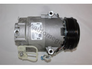 AUTOMEGA 1068540045 kompresorius, oro kondicionierius
6854045, 93176876