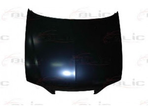 BLIC 6803-00-0535280Q gaubtas 
 Kėbulas -> Transporto priemonės galas -> Gaubtas/dalys/garso izoliacinė medžiaga
7901G3