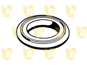 UNIGOM 166009 spaustukas, duslintuvas 
 Išmetimo sistema -> Surinkimo dalys -> Atskiros surinkimo dalys -> Guminis žiedas
852711