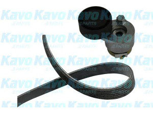 KAVO PARTS DKM-6502 V formos diržas, komplektas