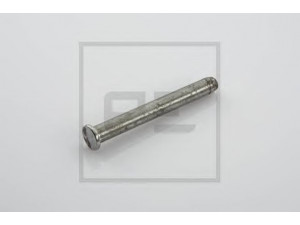 PE Automotive 126.011-00A lingės laikymo kaištis, stabdžių trinkelės
000120369, 000191993, 00120369