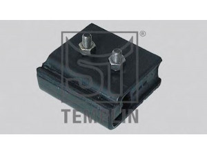 ST-TEMPLIN 08.300.1320.010 variklio montavimas
000 241 04 13, 343 241 00 13