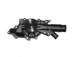 MAGNETI MARELLI 352316170704 vandens siurblys 
 Aušinimo sistema -> Vandens siurblys/tarpiklis -> Vandens siurblys
6462001001