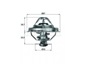 MAHLE ORIGINAL TX 38 80D termostatas, aušinimo skystis 
 Aušinimo sistema -> Termostatas/tarpiklis -> Thermostat
1153 1 727 145, 1153 2 243 126